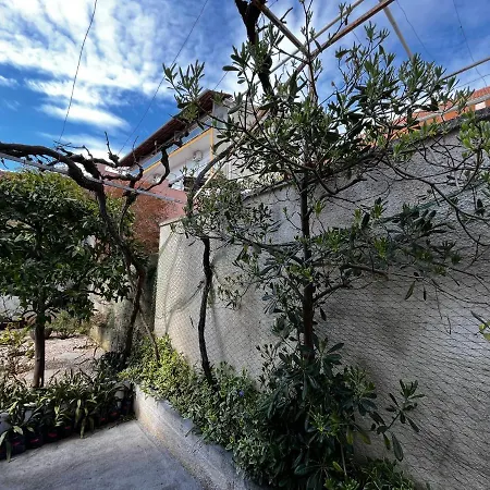 Seaview * טיסנו